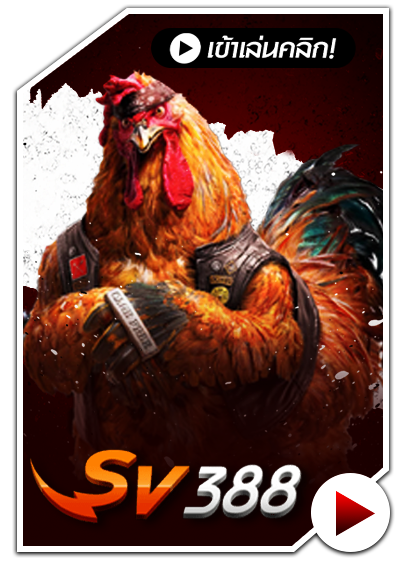 ไก่ชนออนไลน์ SIX66